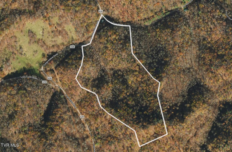 Photo #15: 15631 Large Hollow Road