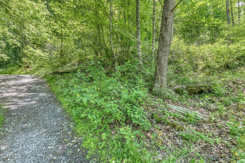 Photo #5: 15631 Large Hollow Road