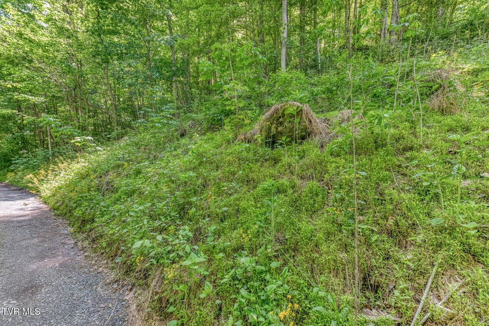 Photo #6: 15631 Large Hollow Road