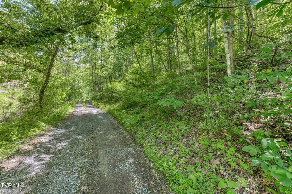 Photo #7: 15631 Large Hollow Road