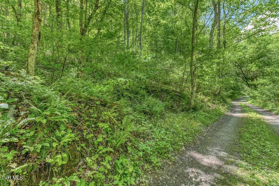 Photo #8: 15631 Large Hollow Road