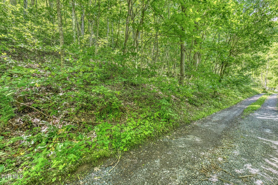 Photo #9: 15631 Large Hollow Road