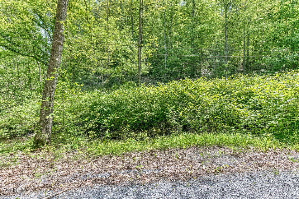 Photo #10: 15631 Large Hollow Road