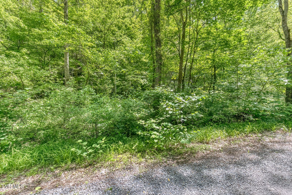 Photo #11: 15631 Large Hollow Road