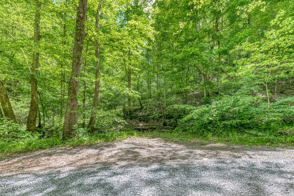 Photo #12: 15631 Large Hollow Road