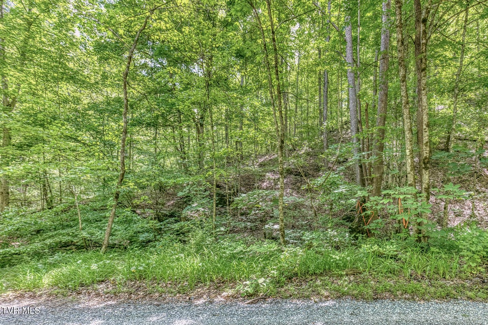 Photo #13: 15631 Large Hollow Road