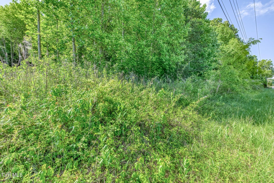 Photo #7: 1127 Tn-107 