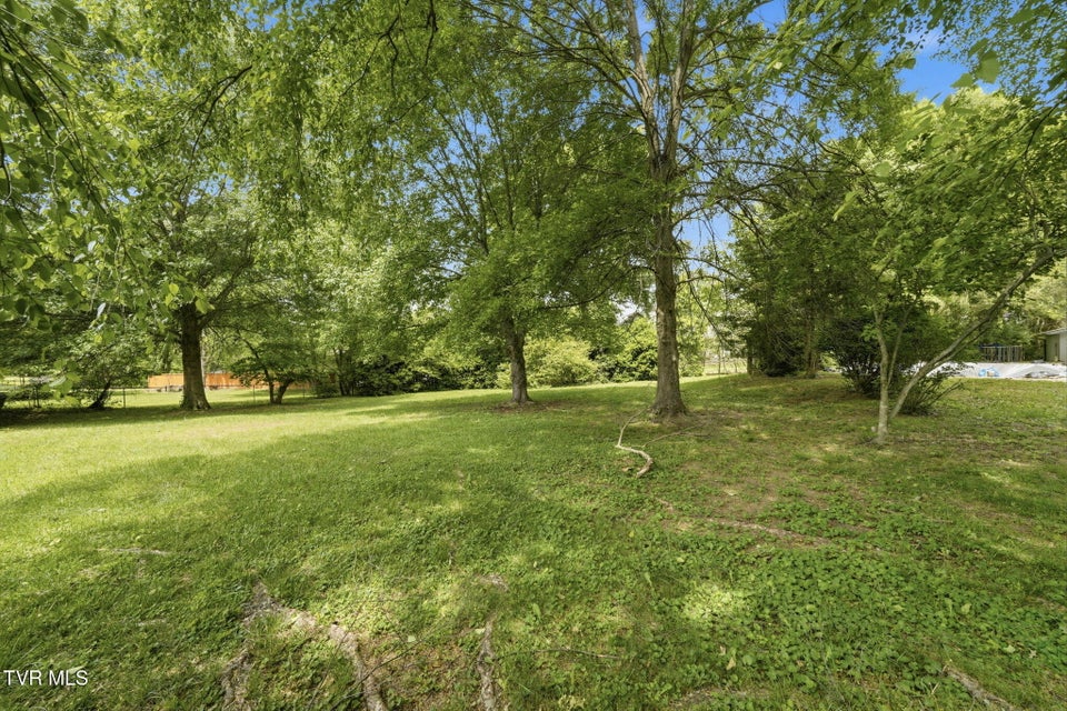 Photo #31: 808 Chippendale Road