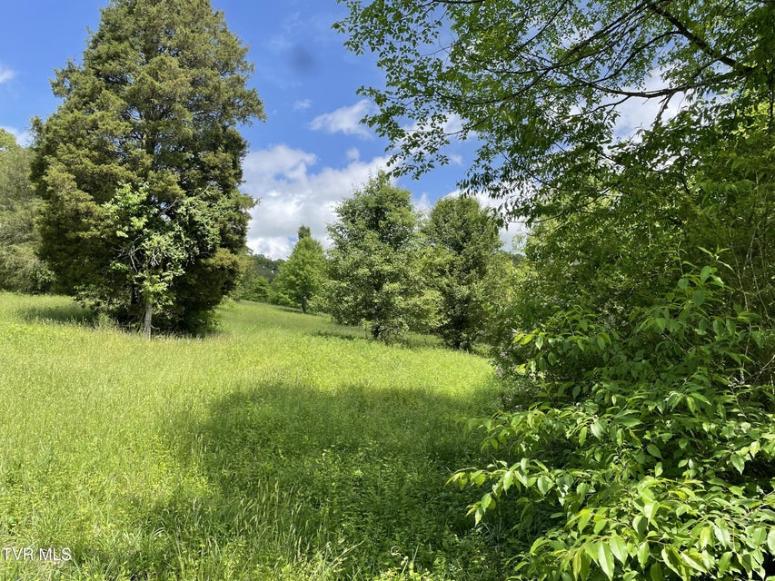 Photo #2: Tbd Anderson Bend Road