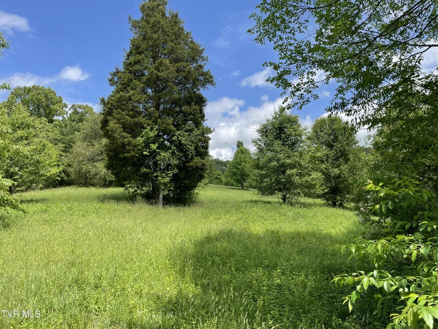 Photo #3: Tbd Anderson Bend Road