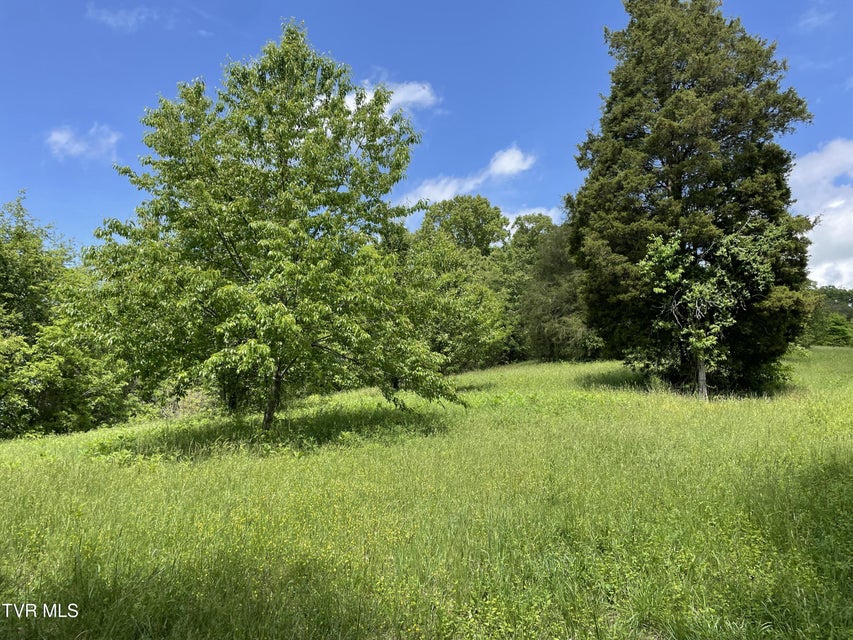 Photo #4: Tbd Anderson Bend Road