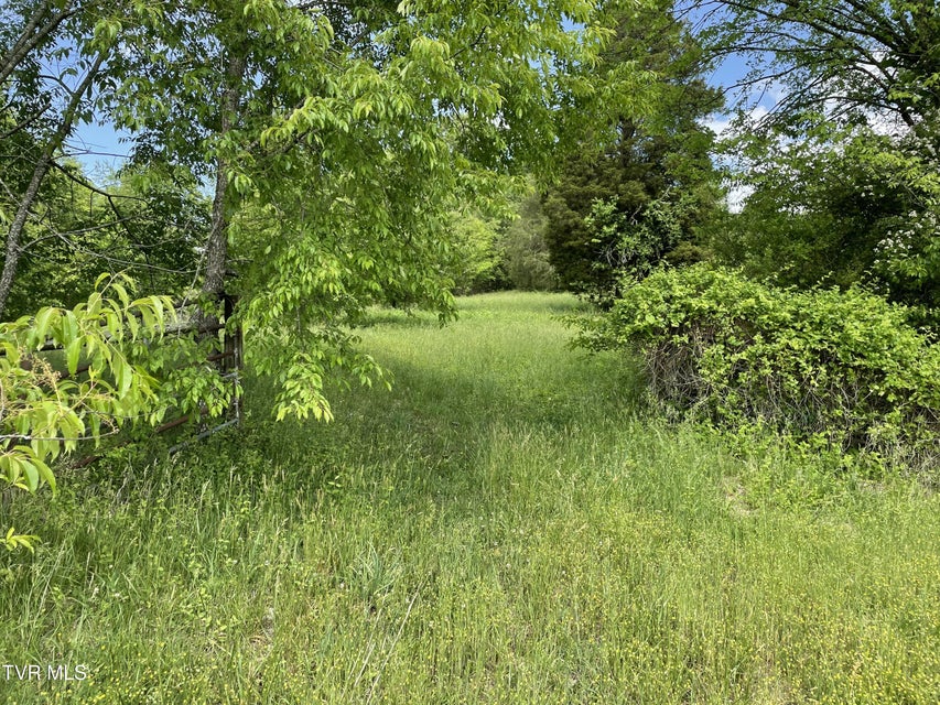Photo #5: Tbd Anderson Bend Road