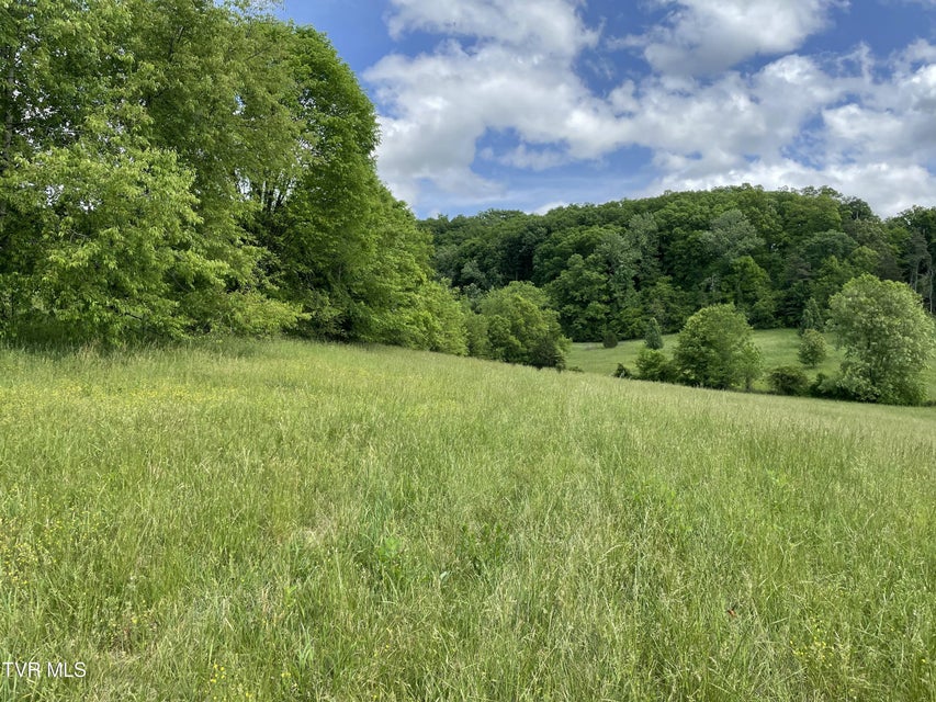 Photo #7: Tbd Anderson Bend Road