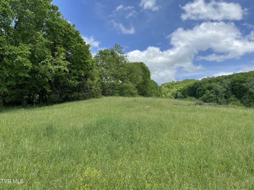 Photo #8: Tbd Anderson Bend Road
