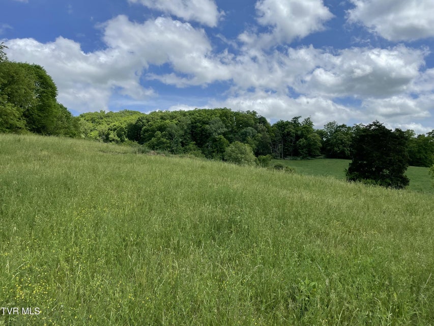 Photo #9: Tbd Anderson Bend Road