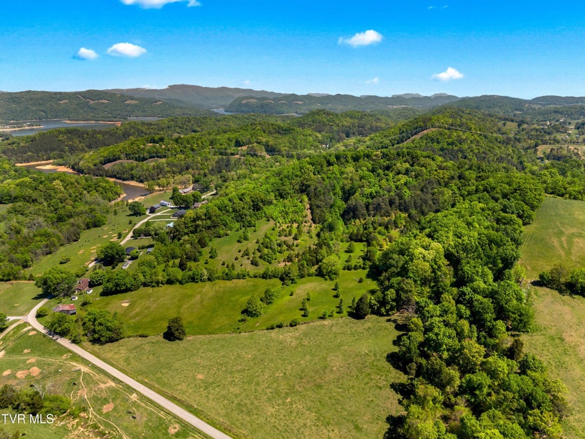 Photo #16: Tbd Anderson Bend Road