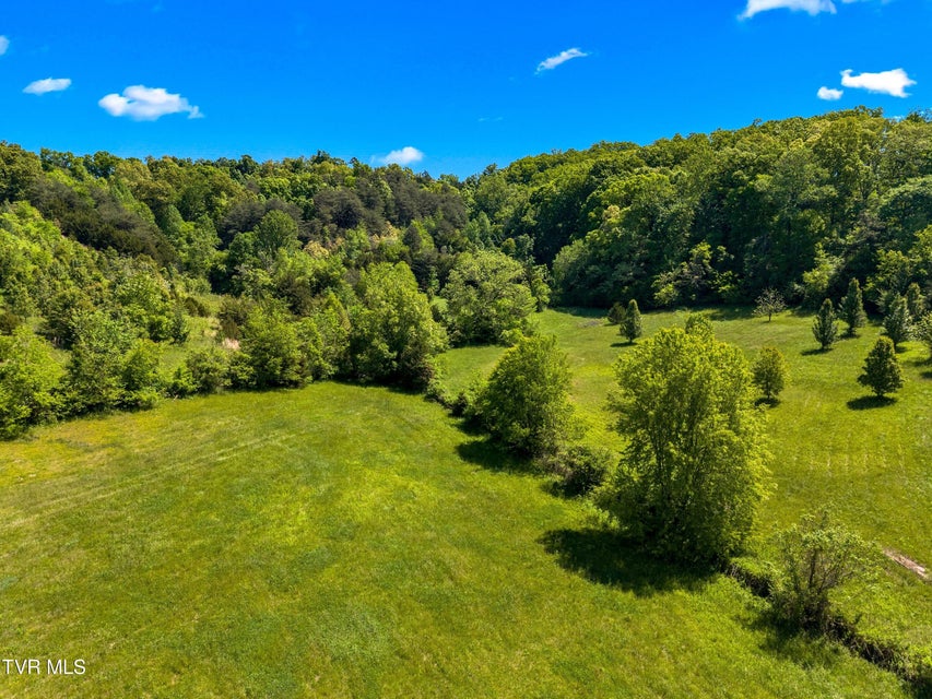Photo #19: Tbd Anderson Bend Road