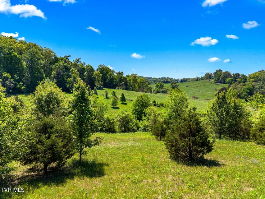 Photo #21: Tbd Anderson Bend Road