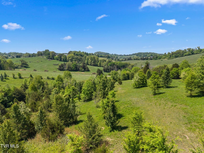 Photo #22: Tbd Anderson Bend Road