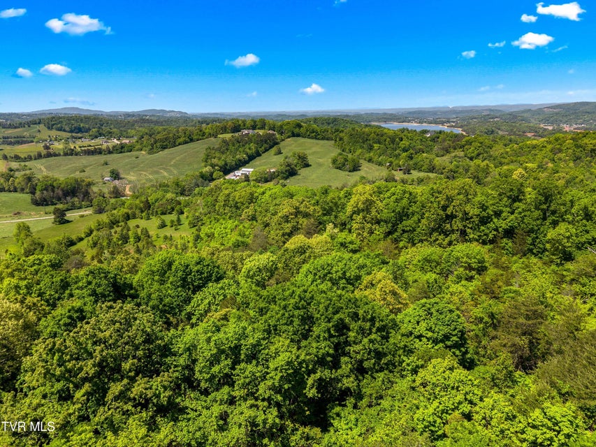 Photo #24: Tbd Anderson Bend Road