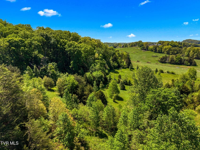Photo #26: Tbd Anderson Bend Road