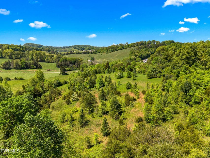 Photo #27: Tbd Anderson Bend Road
