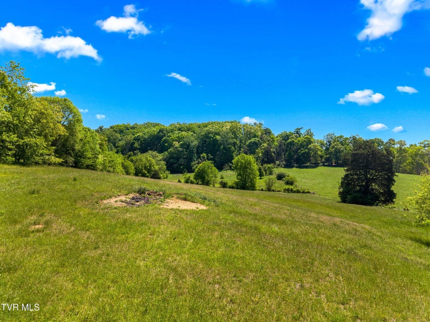 Photo #30: Tbd Anderson Bend Road