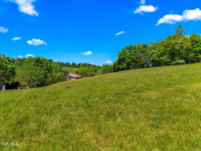 Photo #32: Tbd Anderson Bend Road