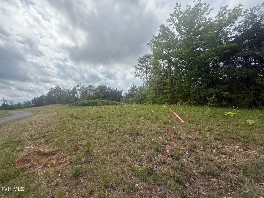 Photo #2: 115 Walker Road