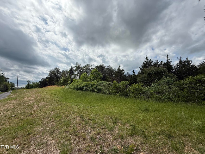 Photo #5: 115 Walker Road