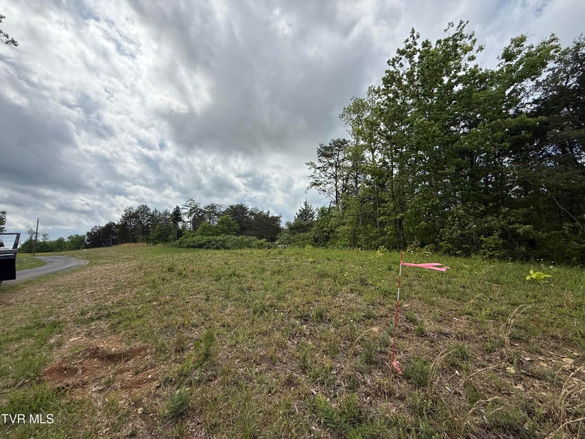 Photo #6: 115 Walker Road