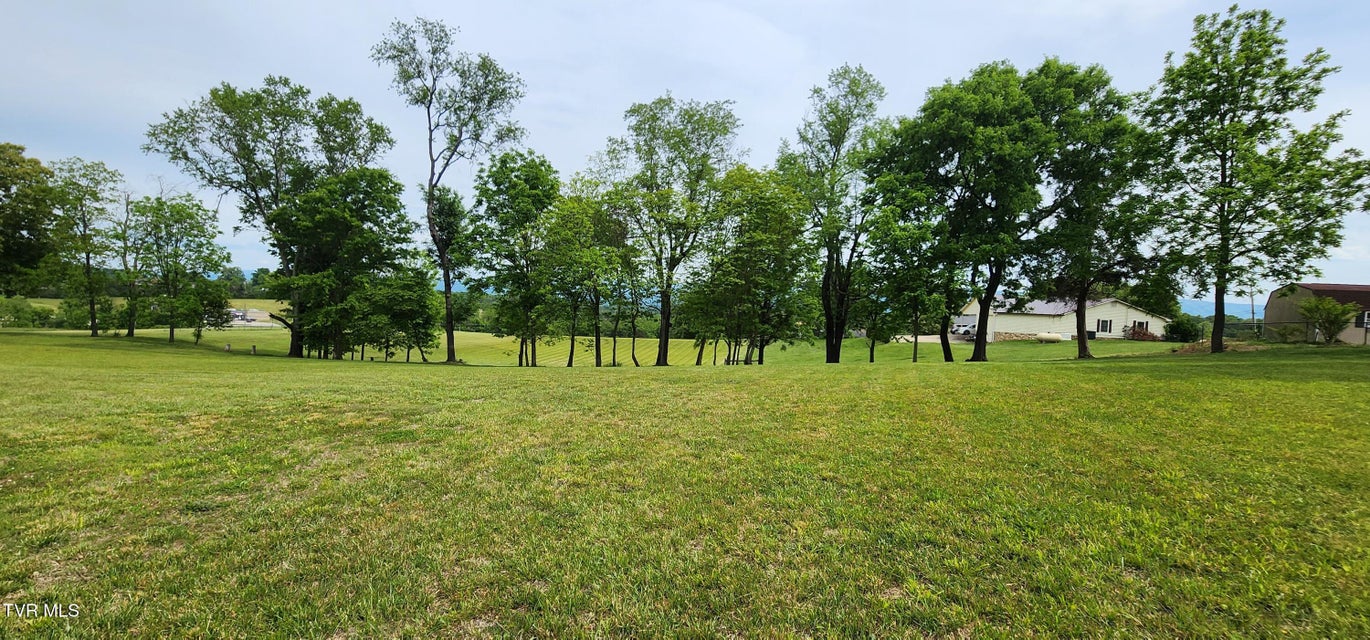 Photo #5: Tbd Emmert Street