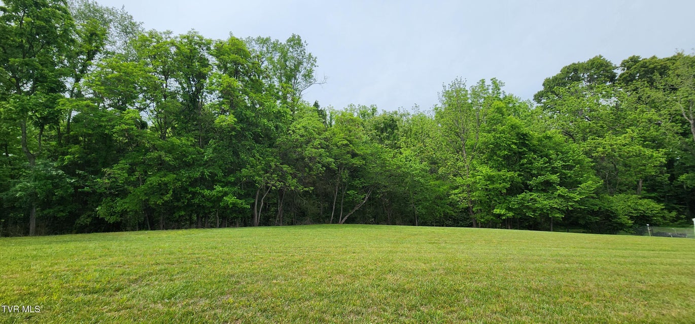 Photo #6: Tbd Emmert Street