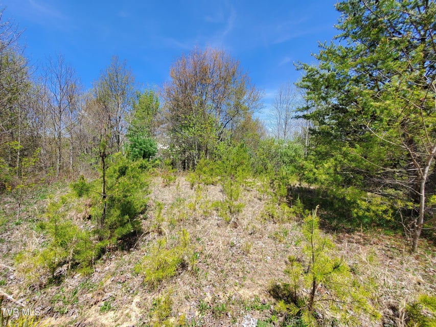 Photo #10: Lot 27 Blue Grass Road