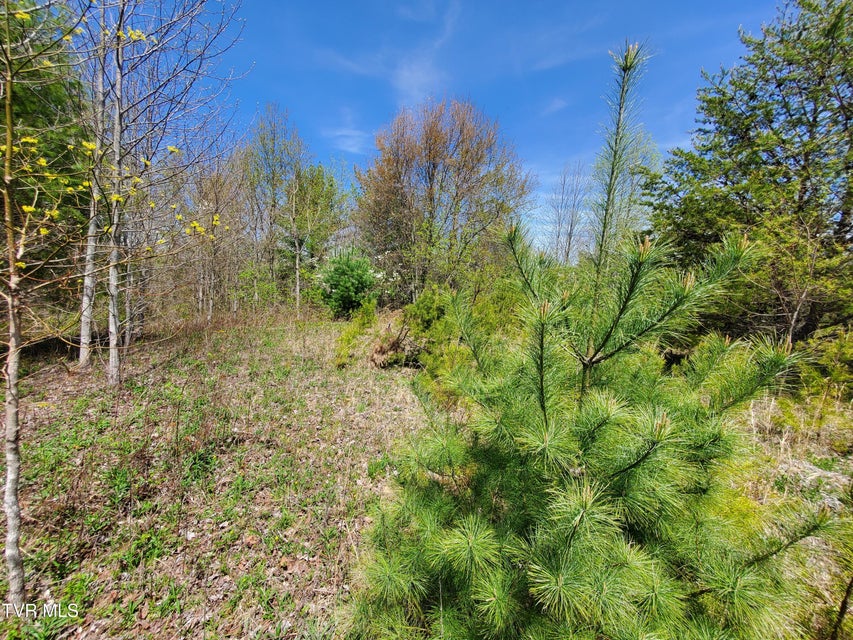 Photo #11: Lot 27 Blue Grass Road