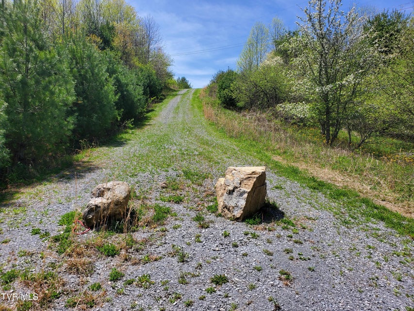 Photo #15: Lot 27 Blue Grass Road