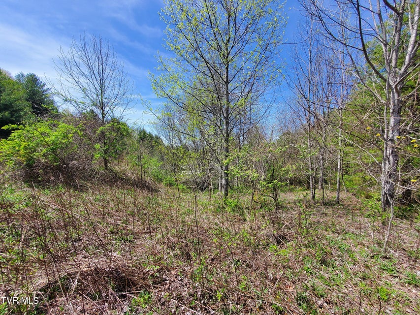 Photo #17: Lot 27 Blue Grass Road