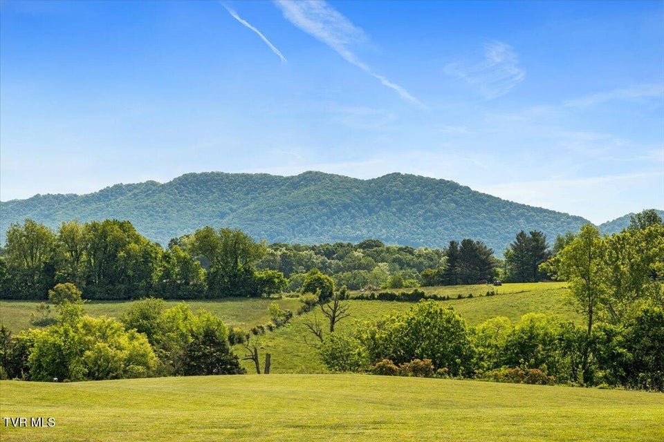 Photo #84: 563 Mayberry Road