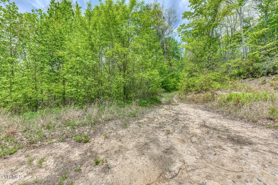 Photo #4: 162 Murph Potter Lane