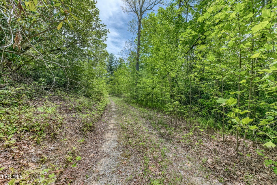 Photo #7: 162 Murph Potter Lane