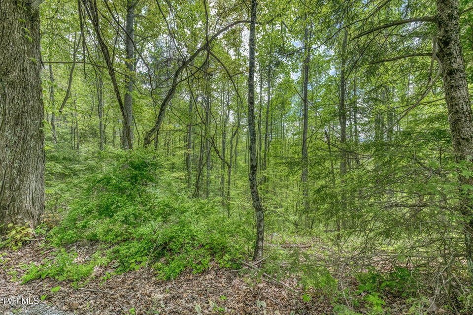 Photo #8: 162 Murph Potter Lane