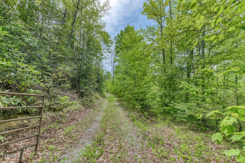 Photo #2: 162 Murph Potter Lane
