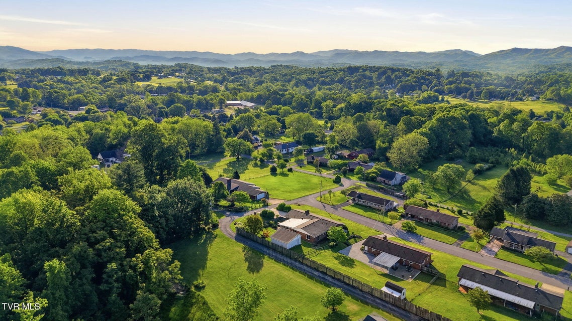 Photo #61: 608 Southview Drive
