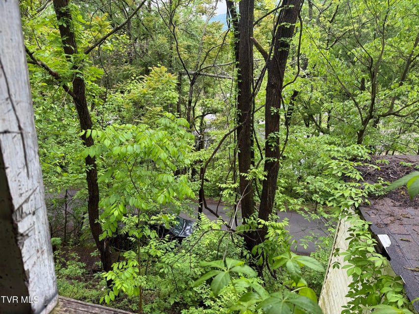 Photo #6: 756 Shawnee Avenue