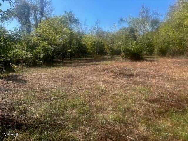 Photo #23: Tbd Mayfield Drive