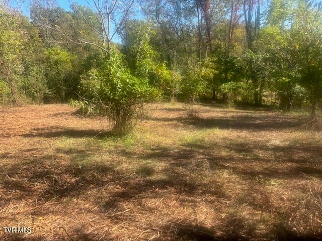 Photo #25: Tbd Mayfield Drive
