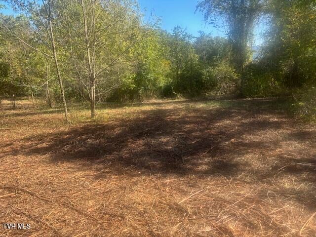 Photo #26: Tbd Mayfield Drive
