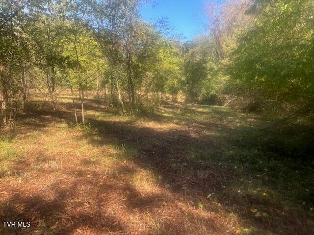 Photo #27: Tbd Mayfield Drive