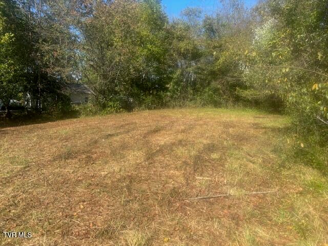 Photo #28: Tbd Mayfield Drive