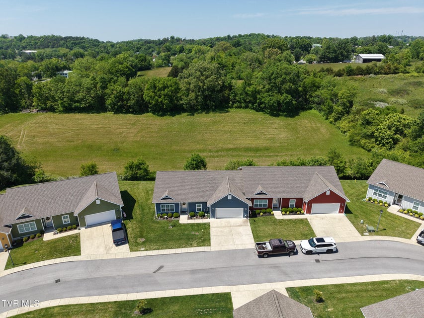 Photo #38: 243 Radford Drive